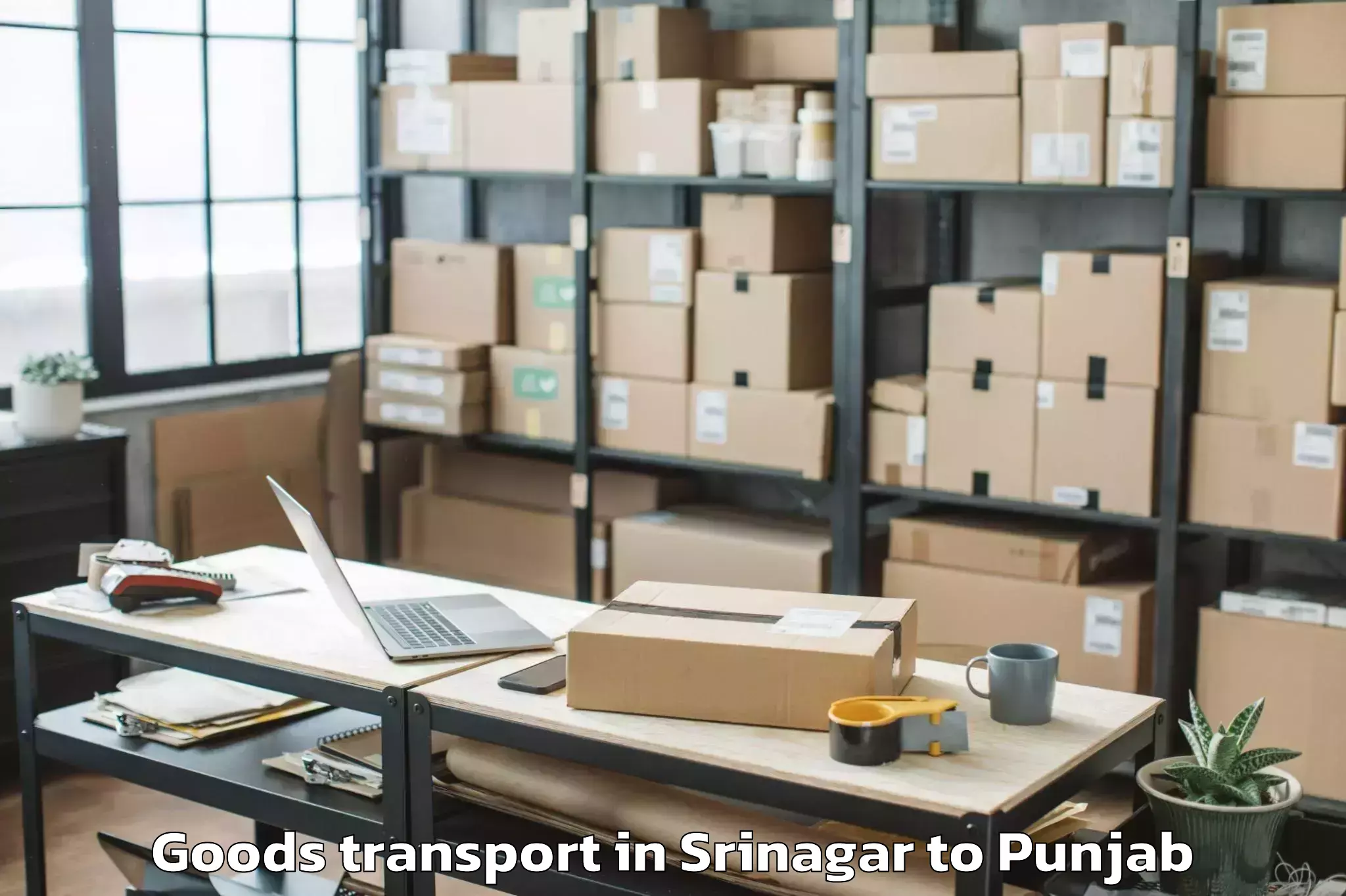 Get Srinagar to Payal Goods Transport